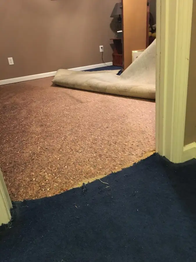 Carpet pad removal revealing water damage during Water Mitigation Services in Clairton